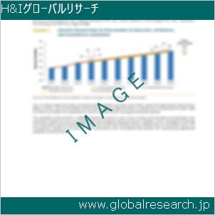 グローバルリサーチ調査レポートのイメージ